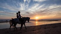 Horse Riding on the Black Sand Beach and Free Hotel Transfers