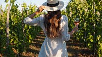 3-Day Private Guided Tour to Cape Town Top Attractions