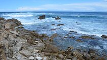  Monterey Day Tour From San Francisco
