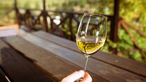 Cape Winelands and Kisternbosch Botanical Garden Full Day Tour.