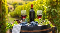 City Tour and Constantia Wineries