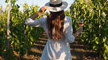 Private: Cape Point and Wine Lands Full day Tour.