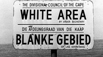 Cape Town City Sightseeing and History - Private Tour