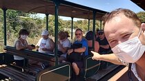 Private Full day tour Brazil/Argentinian side of the falls !