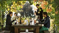 Exclusive Chianti Rufina Half Day Tour with Lunch from Florence