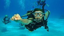 Scuba Diving PADI Open Water Course, & transfer - Sharm El Sheikh