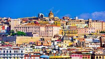 Cagliari city tour and flamingo park by minivan and on foot
