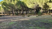 Self-guided Bike Tour around Doñana from Seville