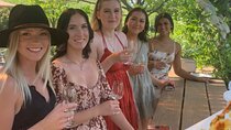 Lake Country Half Day Wine Tour- Incl. Tasting Fees & Guide Grat!