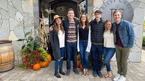 East Kelowna Full Day Lunch Wine Tour-Incl Tastings & Guide Grat!