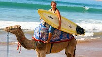 Essaouira Beach: Private Full-Day Luxury Trip from Marrakech