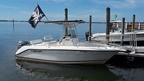 Florida's Beautiful Beaches and Waterways Private Tour