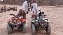 Sharm: Quad Bike or Car Buggy, Camel ride & optional VIP Bedouin Dinner & Show