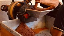 Private Chocolate Tasting Experience in Guatemala