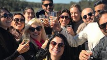 Hunter Valley Wine Tasting 
