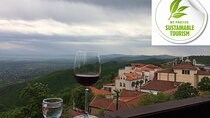 3 Organic Wineries Private Day Trip to Wine Province With Lunch and Tastings