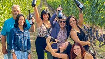Wine Tour Experience In Lake Country 5 Wineries