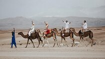 Desert Agafay Day Trip and Atlas Mountains from Marrakech