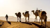 Sunset Camel Ride in Agafay Desert