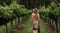 Barefoot Luxury Mount Tamborine Winery Tour from Brisbane