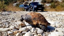 Northwest Corfu 4x4 Coastal Dreams & Village Charms Experience