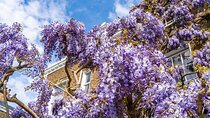 Interactive Treasure Hunt Experience of Kensington's Secrets