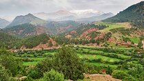  Zat Valley and Atlas Mountains Private Day Trip from Marrakech