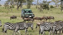 Full-Day Trip at Arusha National Park