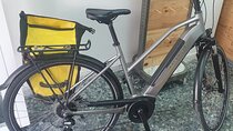Bike Rental per Day in Seville