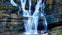 Sri Lanka Private 8-Day Guided Tour with Pickup from Colombo
