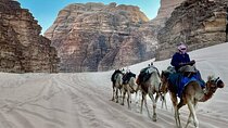One Day Petra & Wadi Rum from Aqaba 