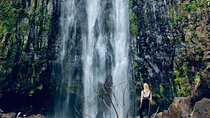 Private Day Trip to Materuni Waterfall and Coffee Tour 