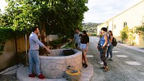 Family Winery Tour and Tasting in Trizinia