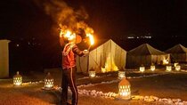 Desert D'Agafay Package - Quad, Dromedary and Dinner Show