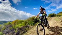 Santa Monica Roller Coaster Electric Mountain Biking Tour (Intermediate) 