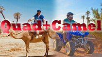 Quad palmeraie Marrakech et balade chameau transport inclus