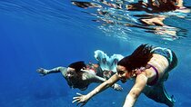 Half Day Mermaiding and Freediving in Tenerife