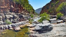 Paradise Valley Half day Experience