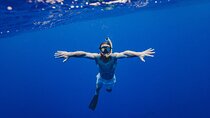  Snorkeling at Mahmya Island from Hurghada