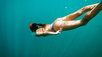 Private Luxury Snorkeling Tour in Cabo San Lucas