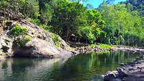 Hiking the Black River Gorges: Full-day with Lunch and Transfer