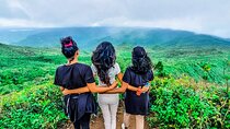Hiking Piton De la Petite Riviere Noire Mountain including Lunch & Transfer