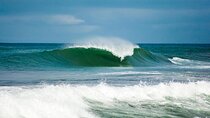 Shuttle From San Jose Airport To Tamarindo Guanacaste