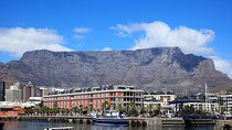 Full Day Private Tour to Cape of Good Hope & penguins Cape Point