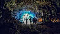 Tulum Ruins, Snorkeling with Turtles and Underground Caves 