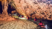  Tulum Ruins, Turtle Sightseeing & Cenote from Playa del Carmen