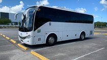 Transfer from Punta Cana Airport to Hotels in Punta Cana