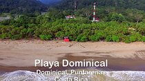 Private San Jose Airport Shuttle Service to Dominical Puntarenas
