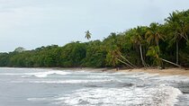 Private Transfer From San Jose Airport To Cahuita