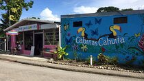 Private Transfer From San Jose Airport To Cahuita